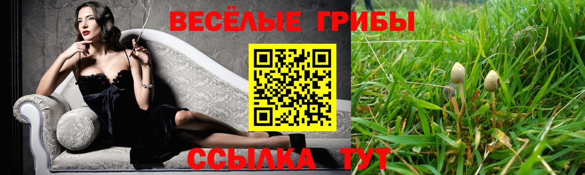 Галлюциногенные грибы ЛСД Великий Устюг
